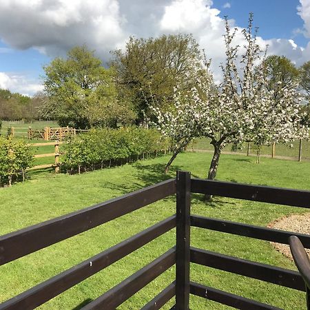Maplehurst Barn Stables Staplehurst Zewnętrze zdjęcie
