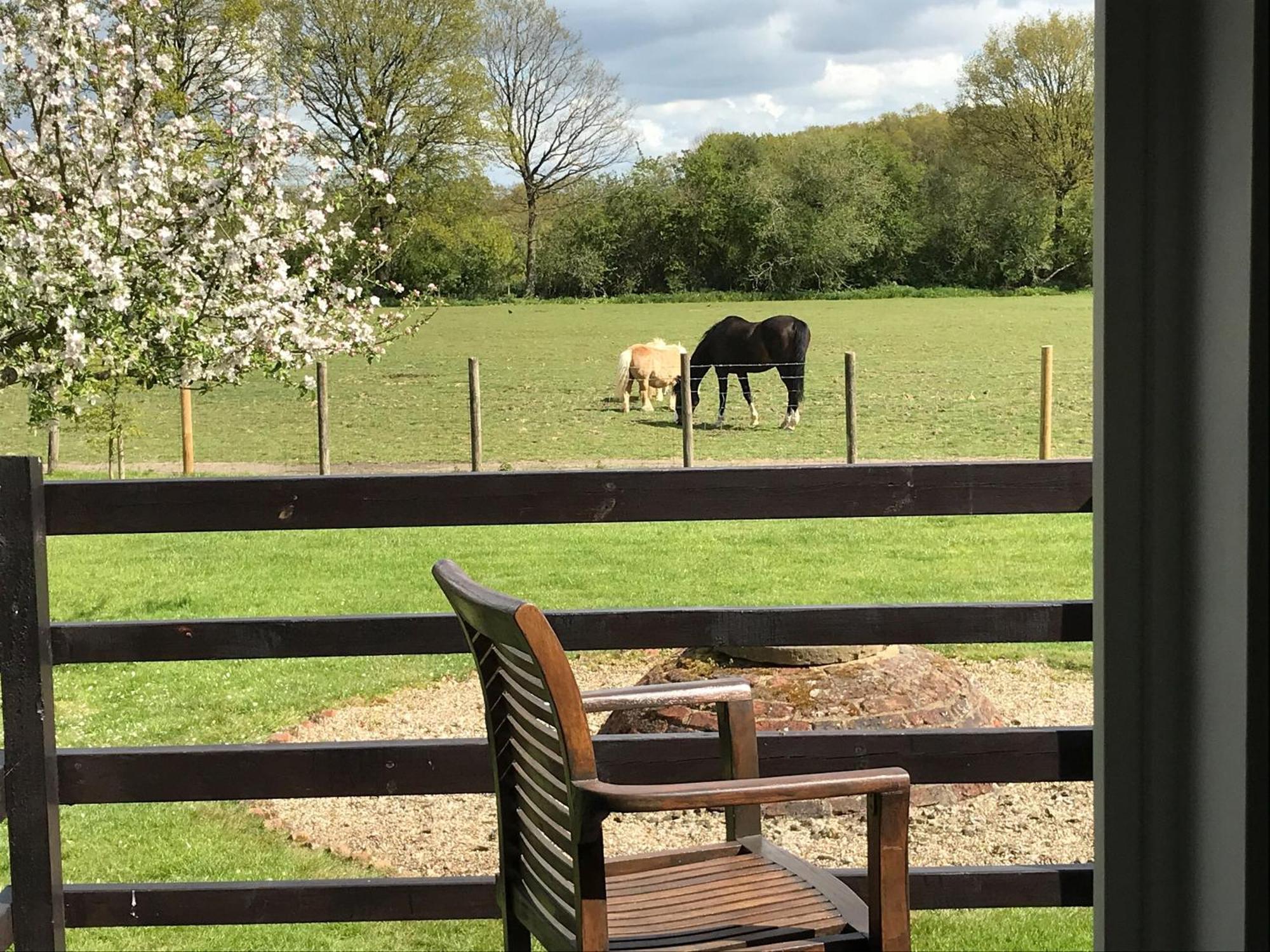 Maplehurst Barn Stables Staplehurst Zewnętrze zdjęcie